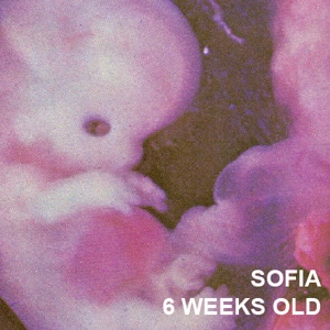 I AM HUMAN - Sofia 6 Weeks Old